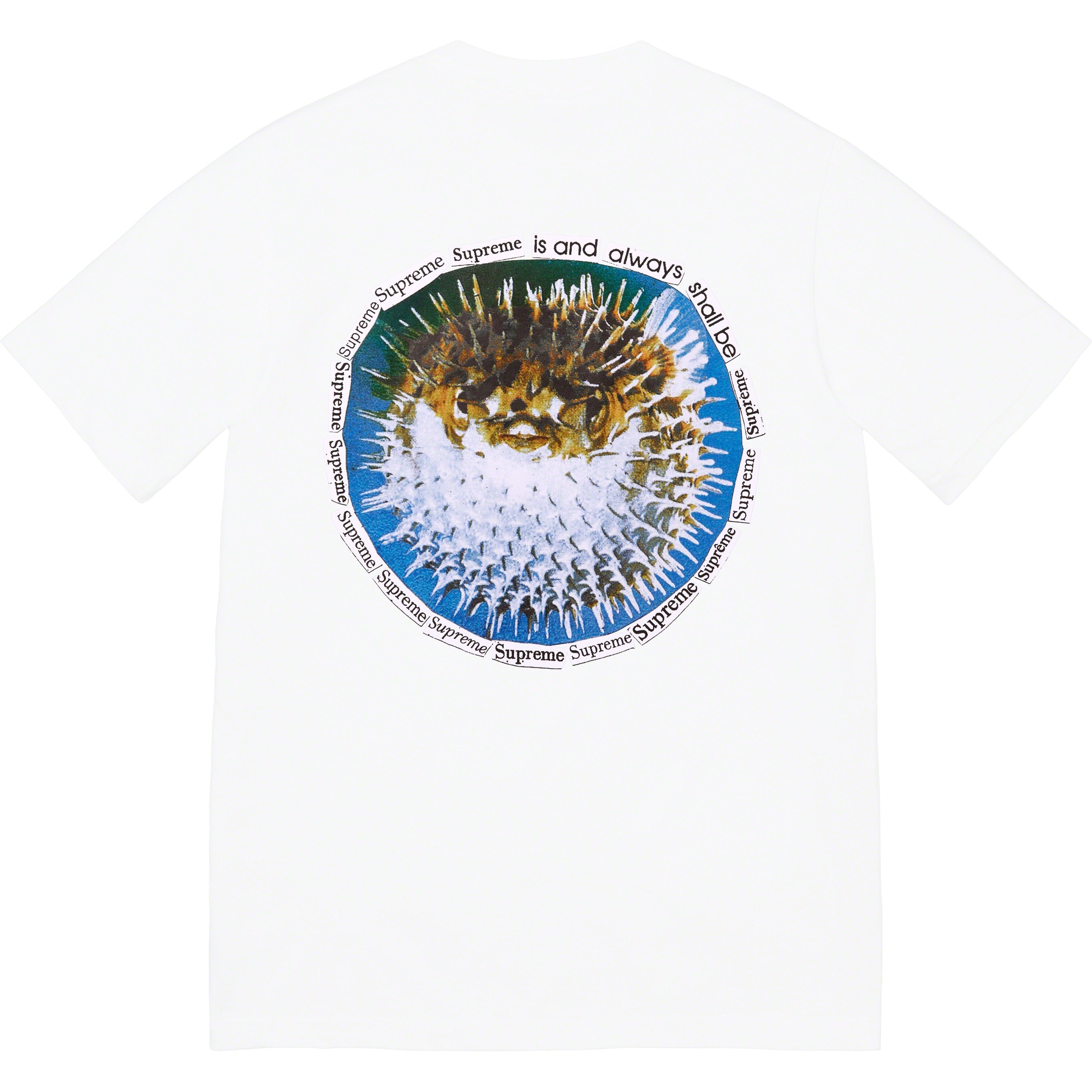 Blowfish Tee view 10